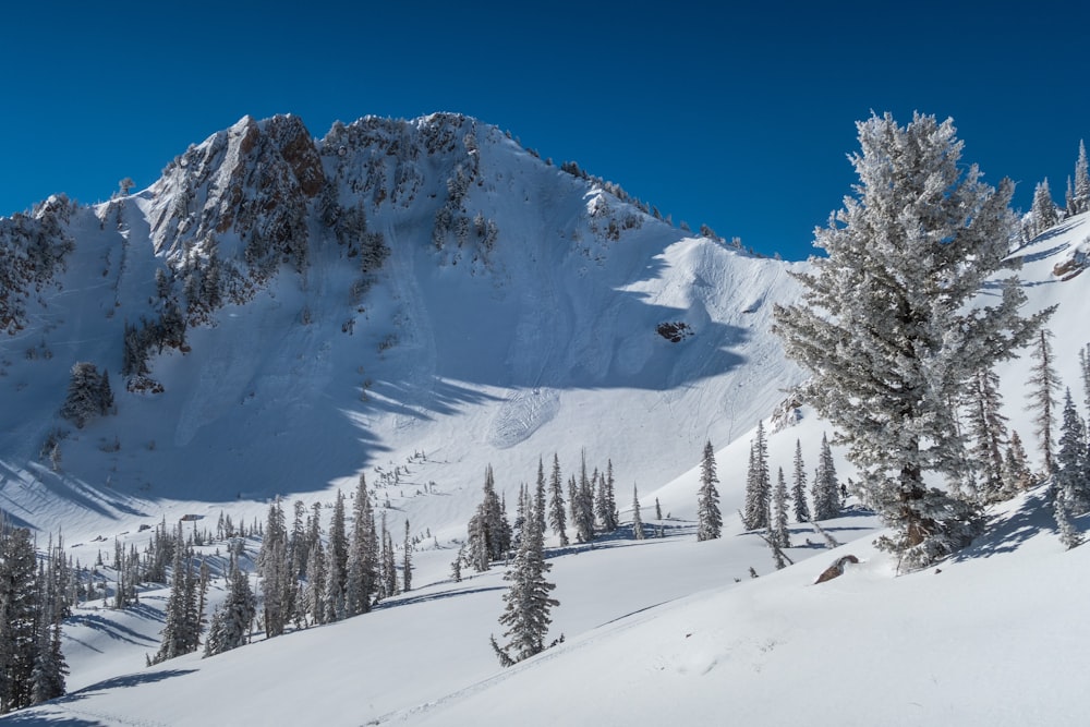 snowy mountain during daytime