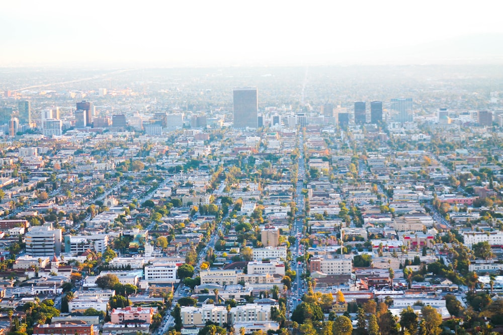 aerial photography of buildings, trees, and roads