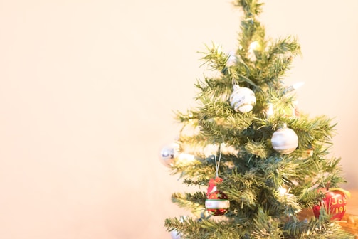 A small decorated Christmas tree with lights and natural ornaments.