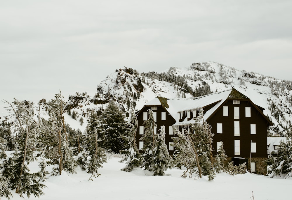 snow-covered houses