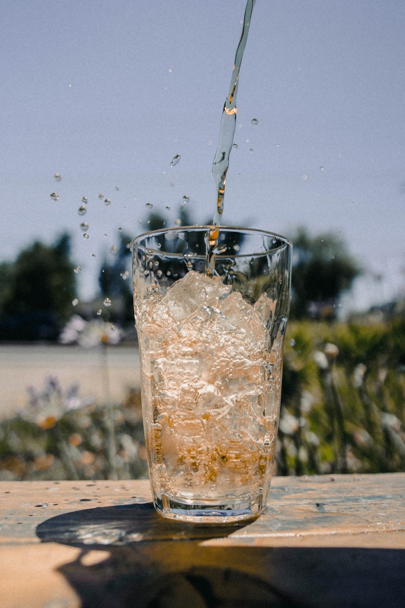 Glaçons dans un verre — boissons fraîches et cocktails maison