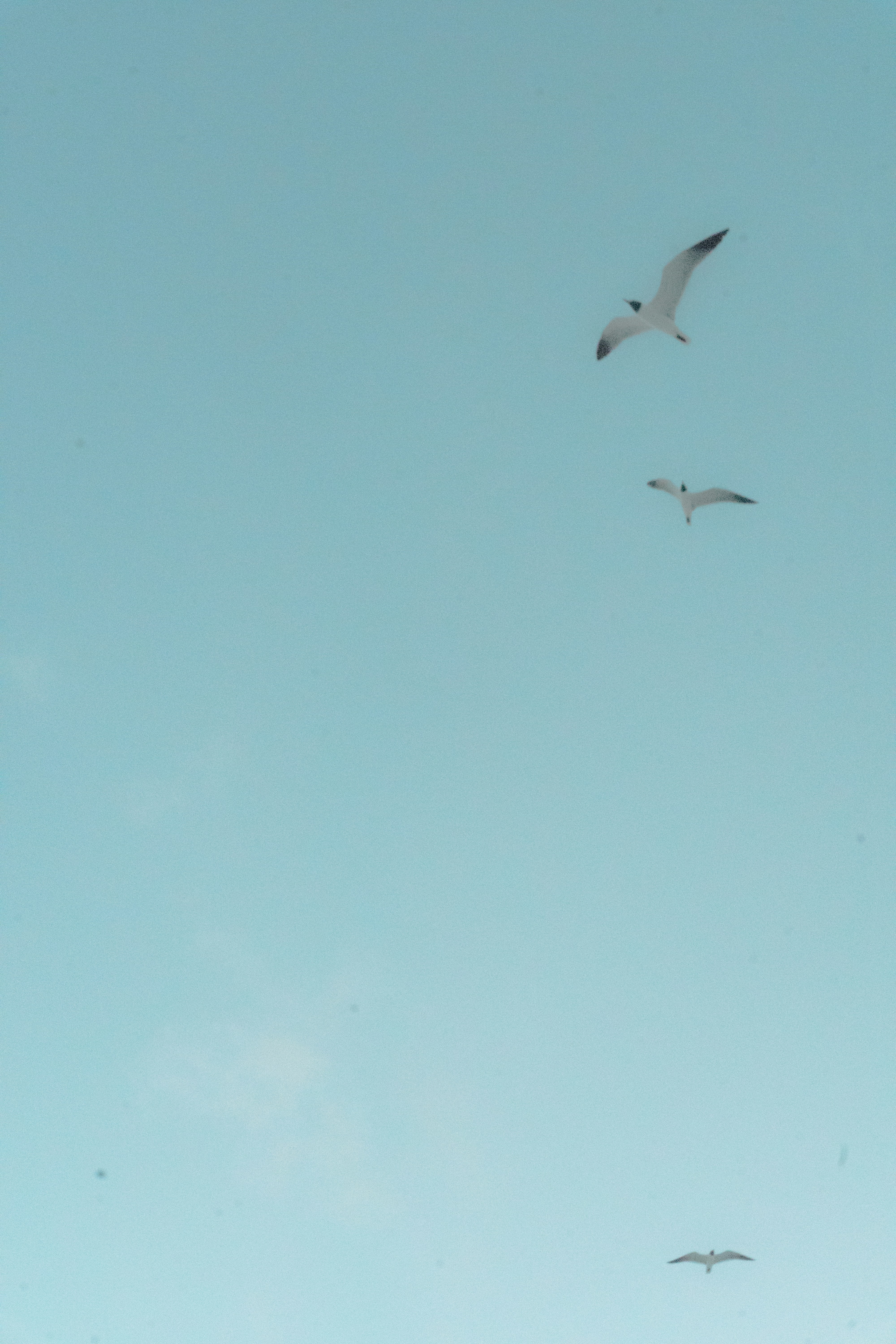 Photo by jaron_mobley