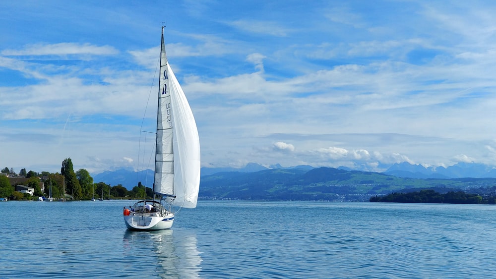 white sailboat on calm body of water