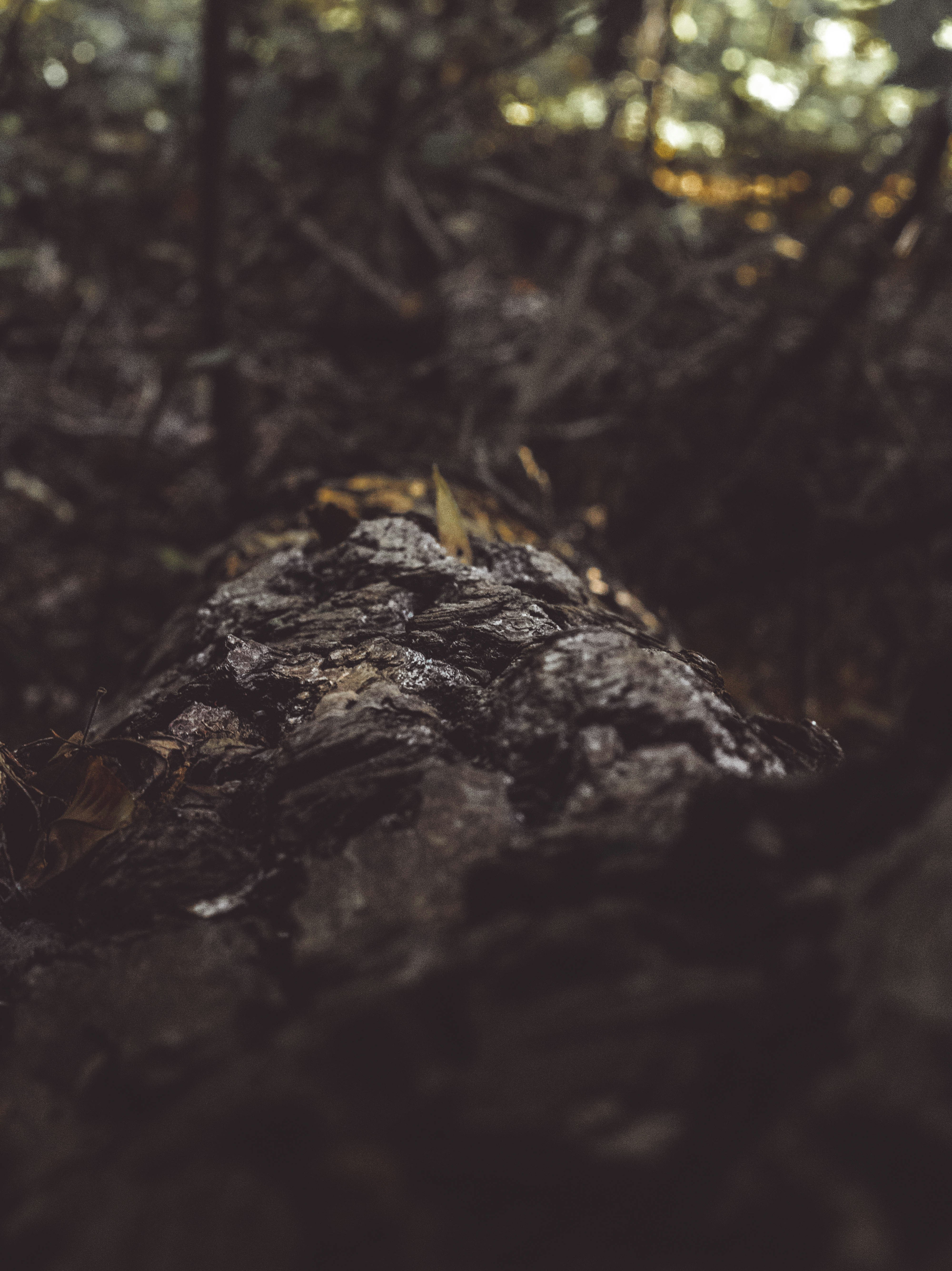 Photo by collinmerkel1