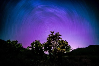 A night sky filled with star trails forms a circular pattern above a desert landscape. Prominent cacti are silhouetted against the mesmerizing purple and blue hues of the sky, creating a sense of depth and mystery.