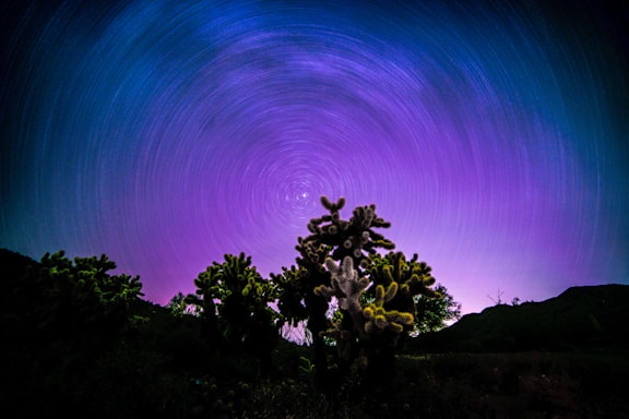 A night sky filled with star trails forms a circular pattern above a desert landscape. Prominent cacti are silhouetted against the mesmerizing purple and blue hues of the sky, creating a sense of depth and mystery.