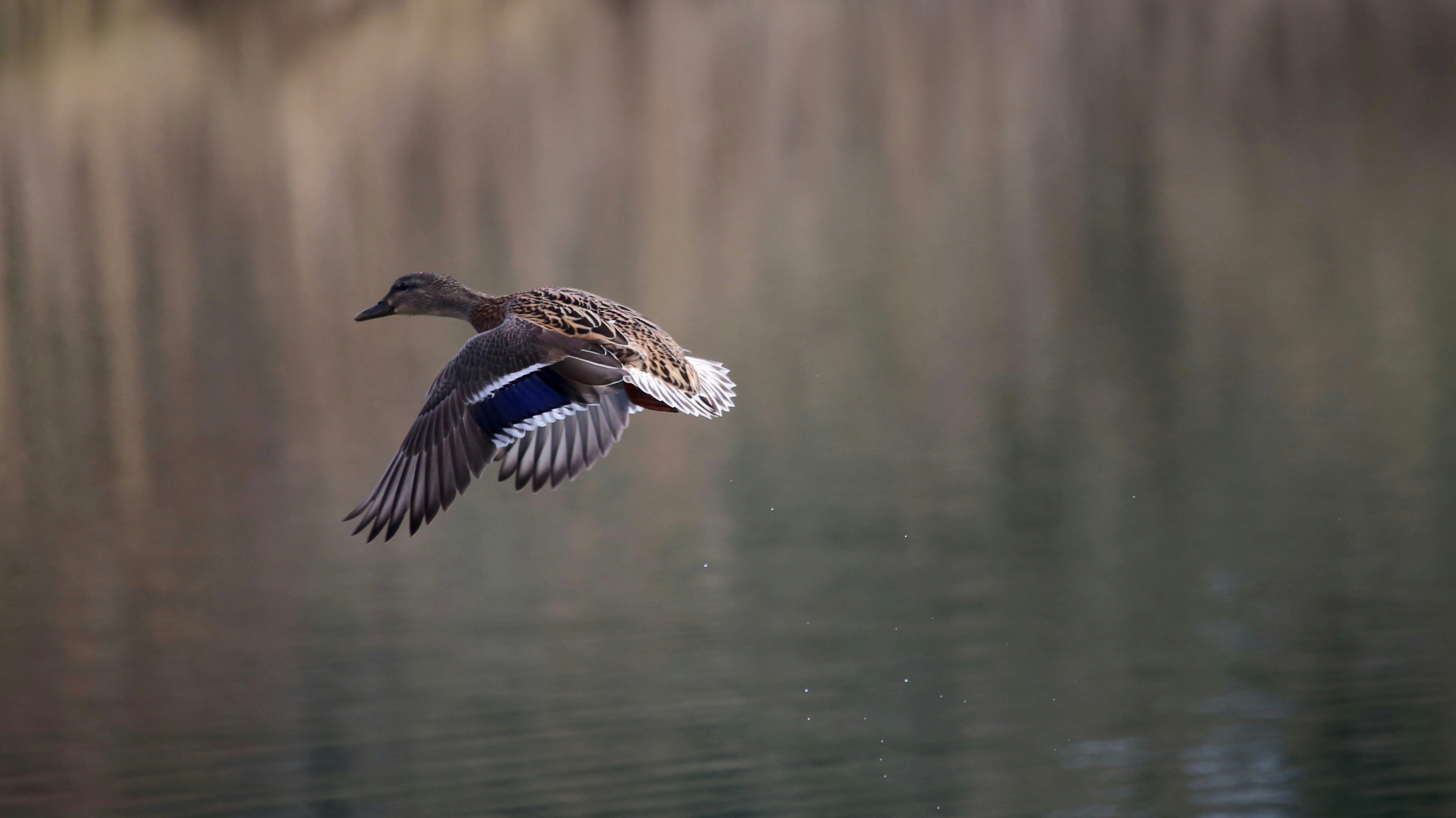 Photo by nathalie_spehner