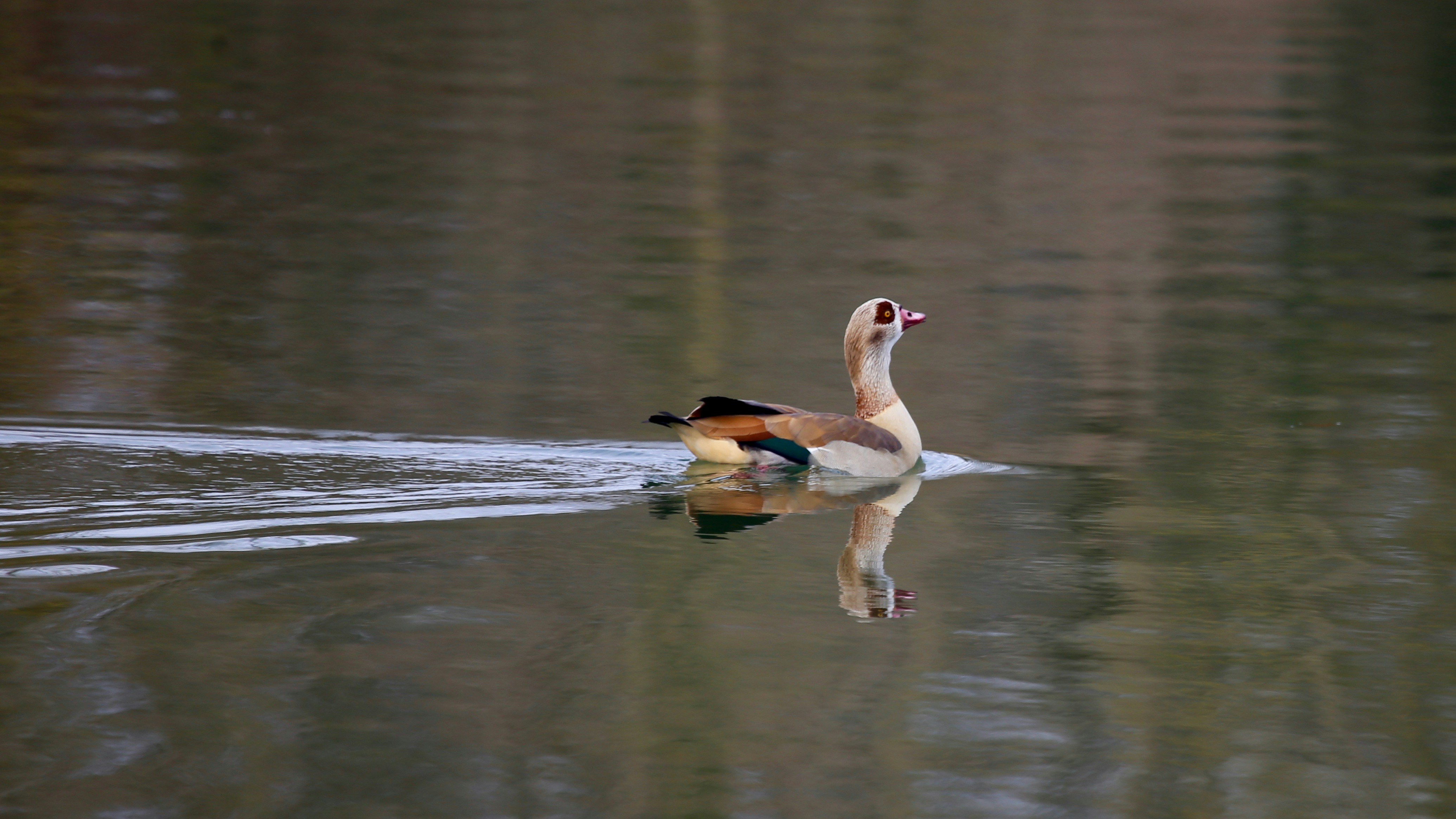 Photo by nathalie_spehner