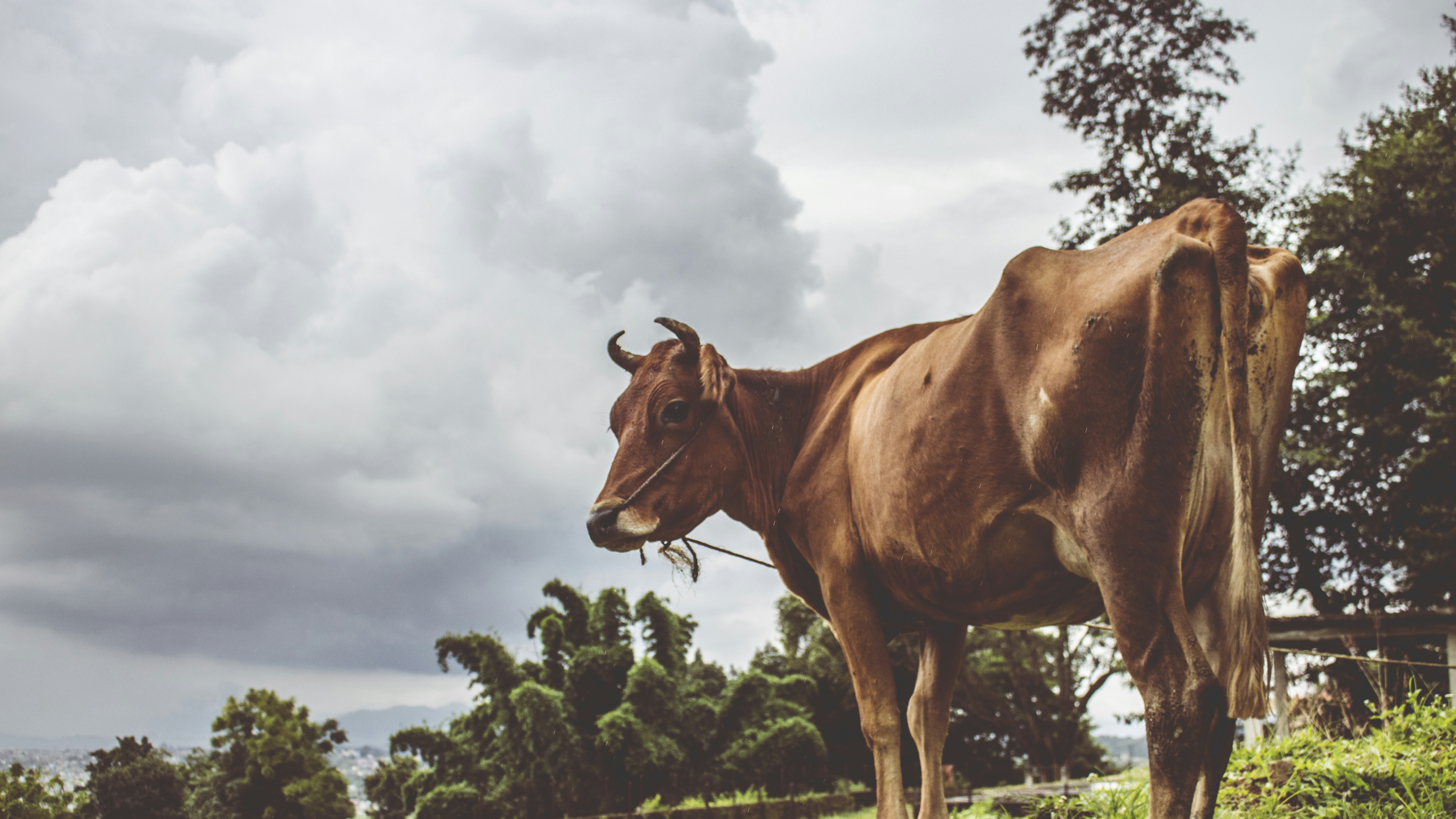 Photo by aalokatreya