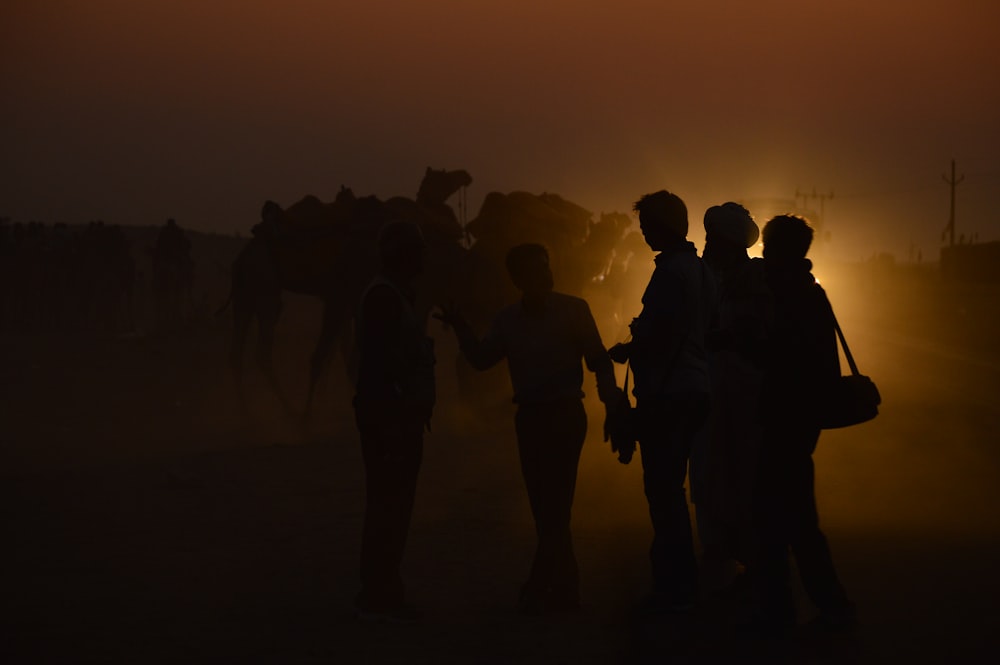 silhouette of people standing near camels