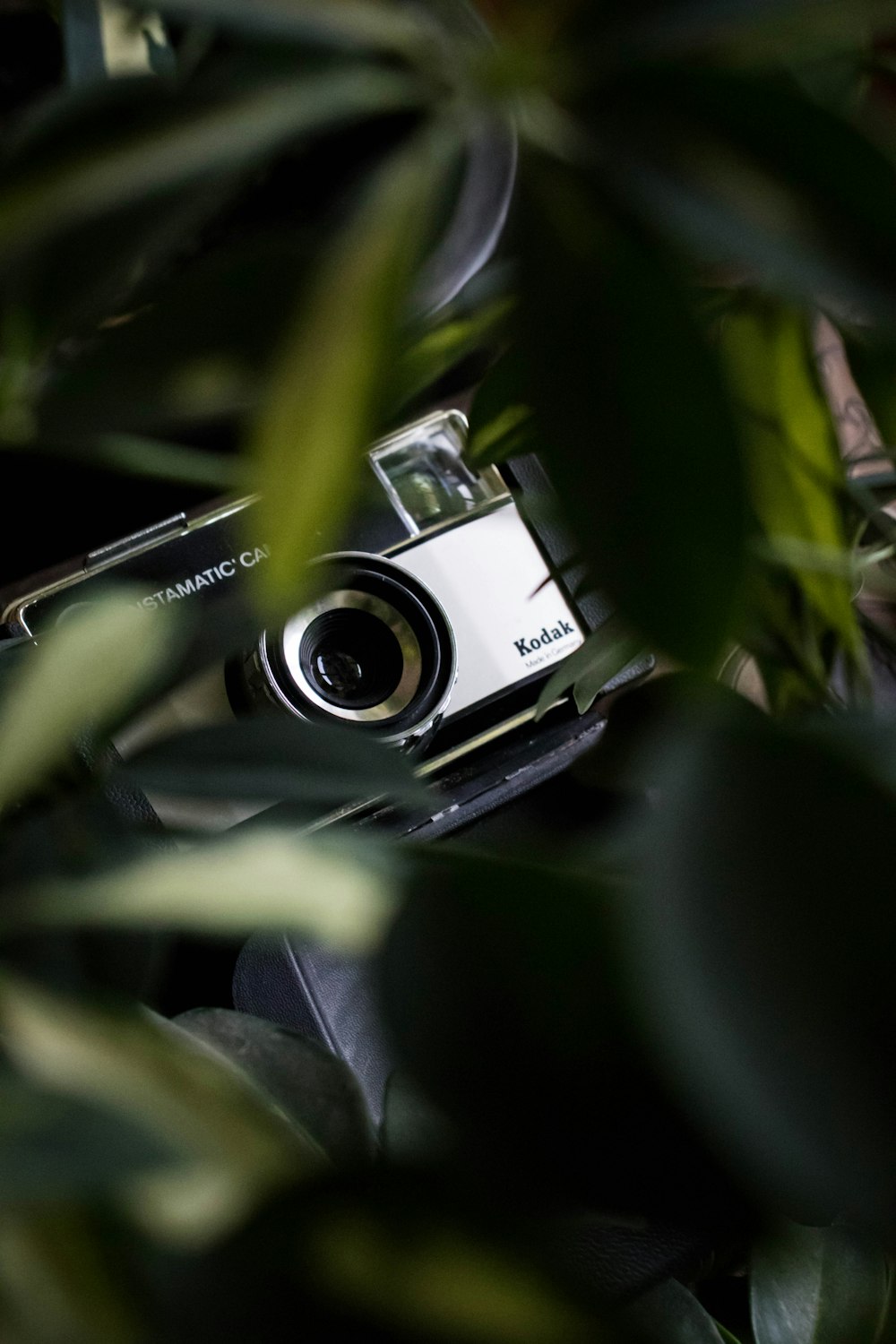 camera under green leaves inside room