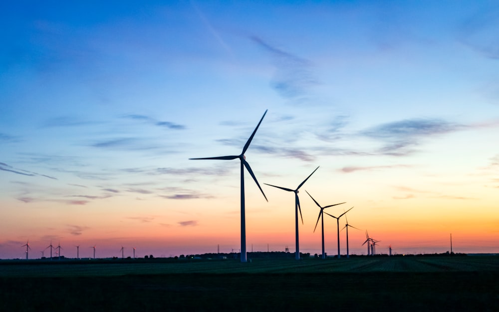 windmills during golden hour