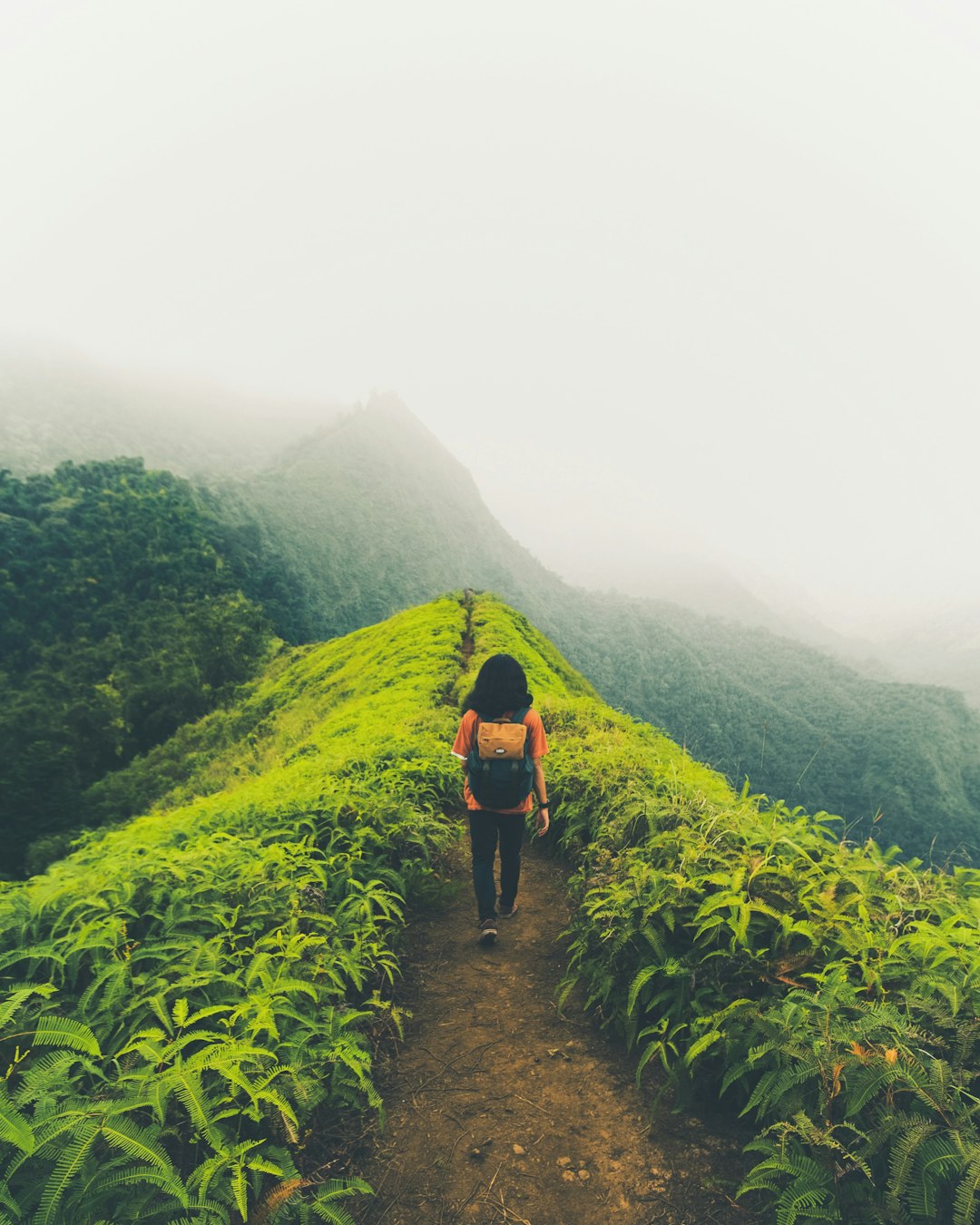 Hill station photo spot Bukit Watu Jengger East Java