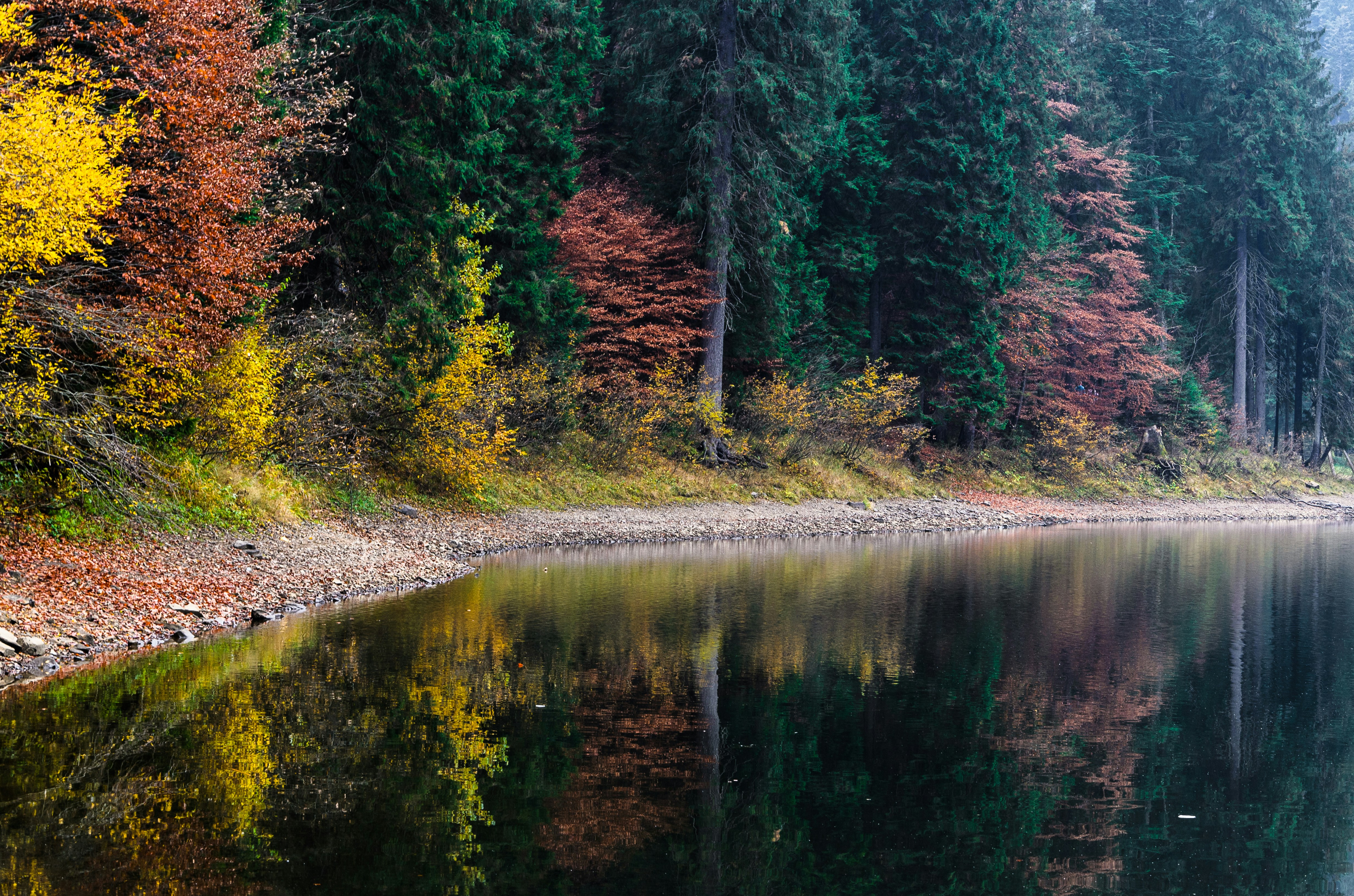 Photo by nazarhaponov