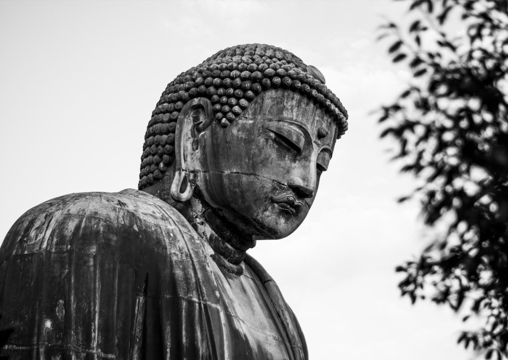 buddha statue photography