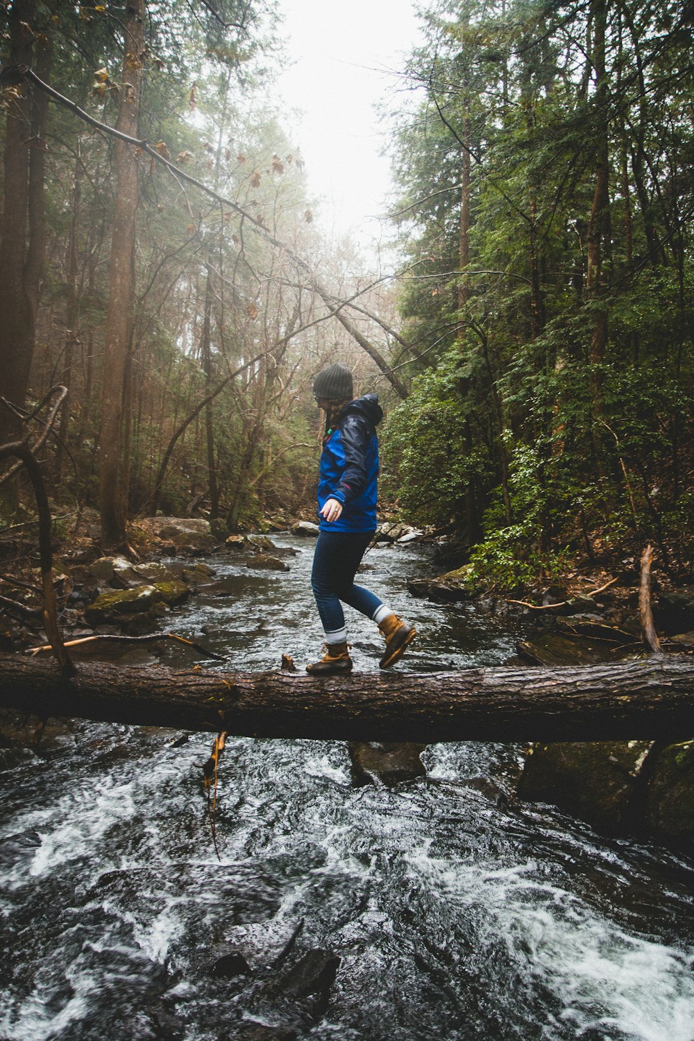 man walking on brown tree trunk