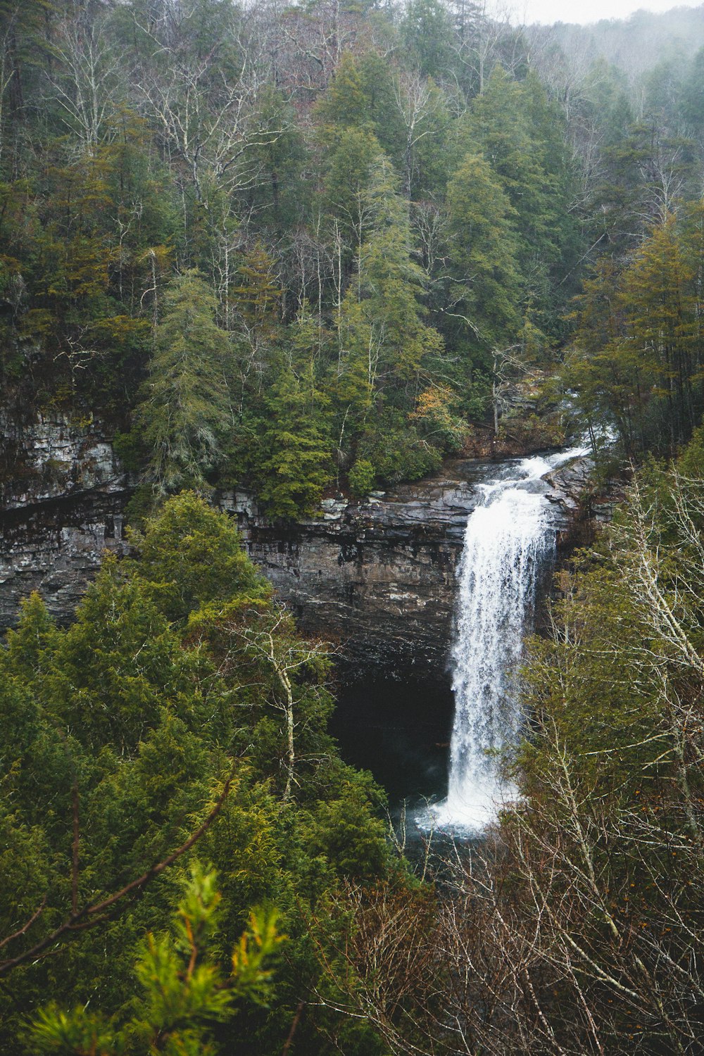 waterfalls cascading down rock wall in woods