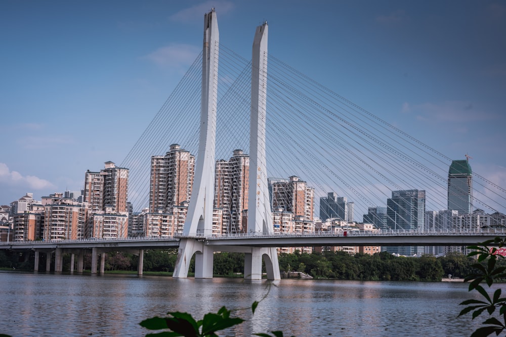 white suspension bridge