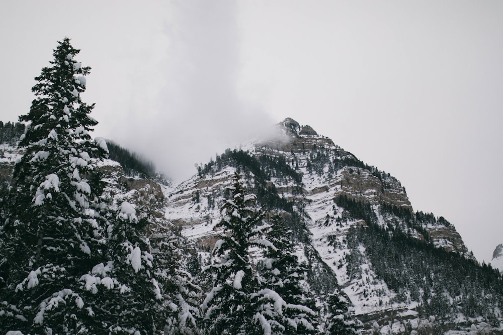 Blick auf die Berge