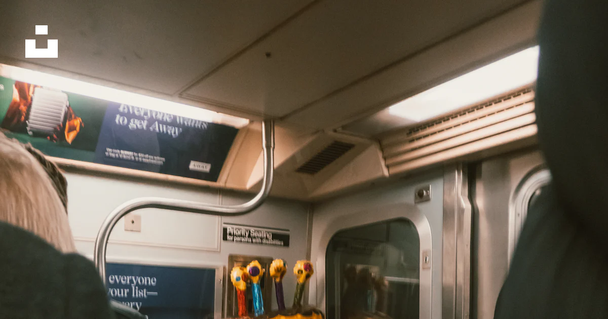 Femme waering veste grise fleur photo – Image gratuite de Femme sur ...