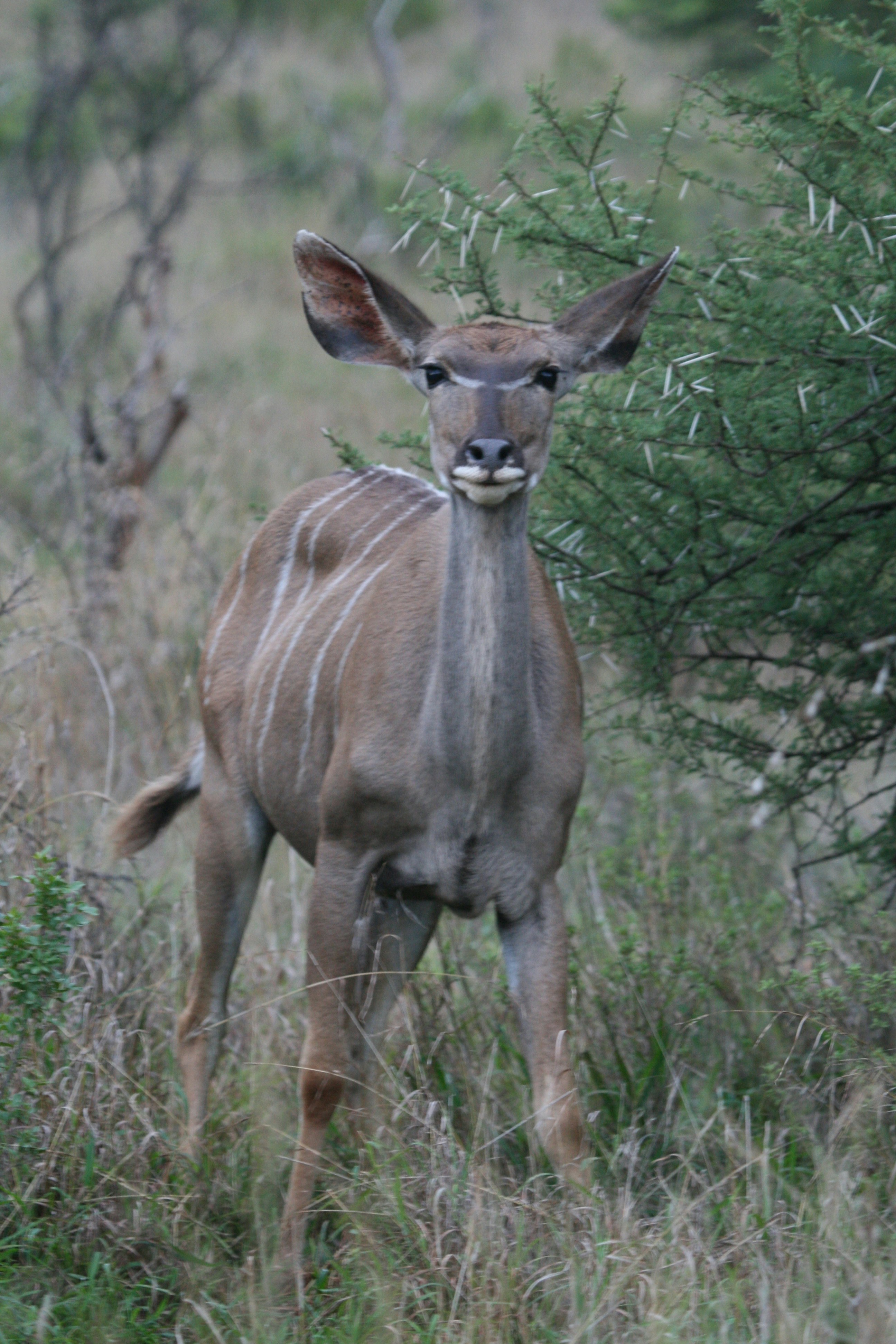 Photo by nathalie_spehner