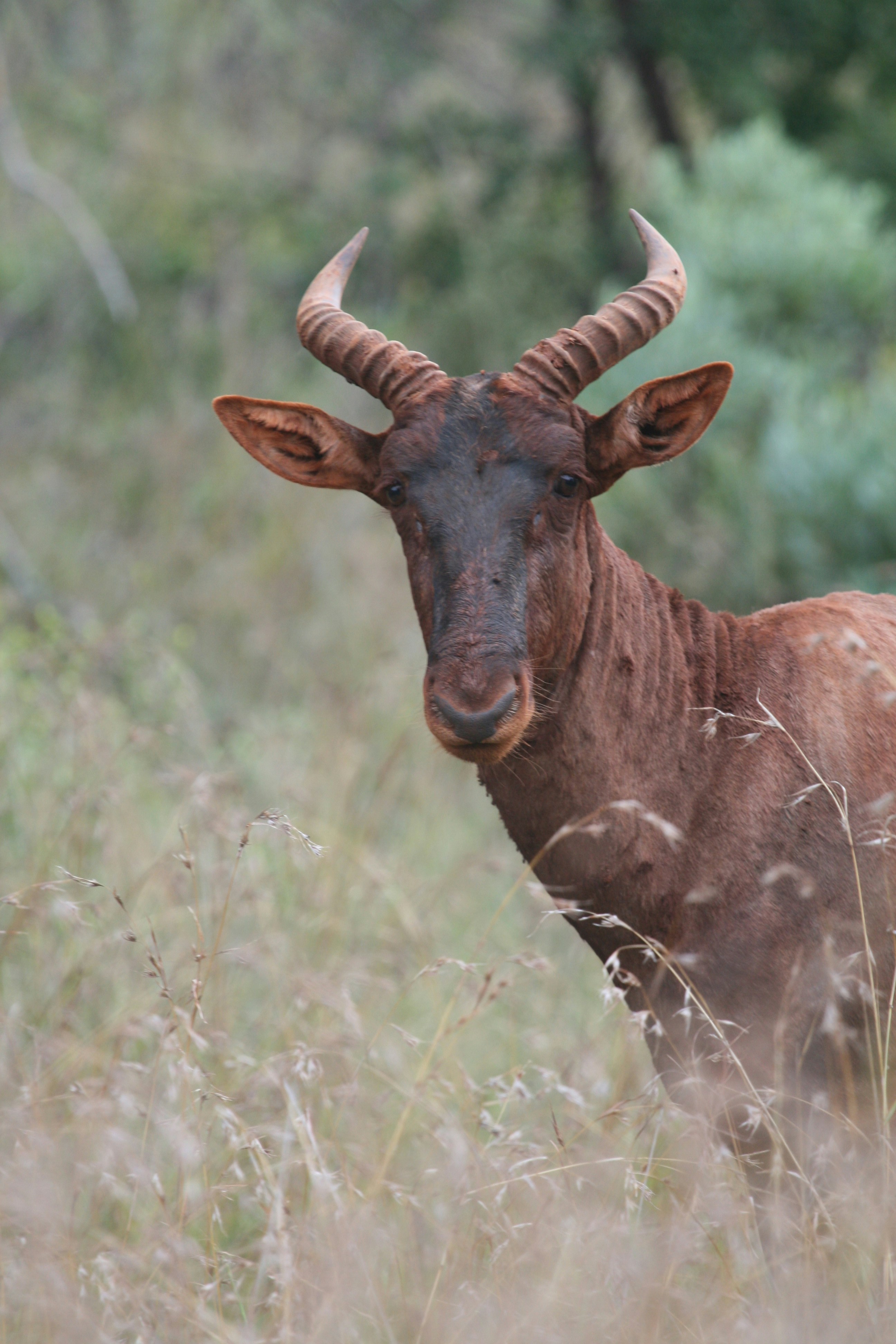 Photo by nathalie_spehner