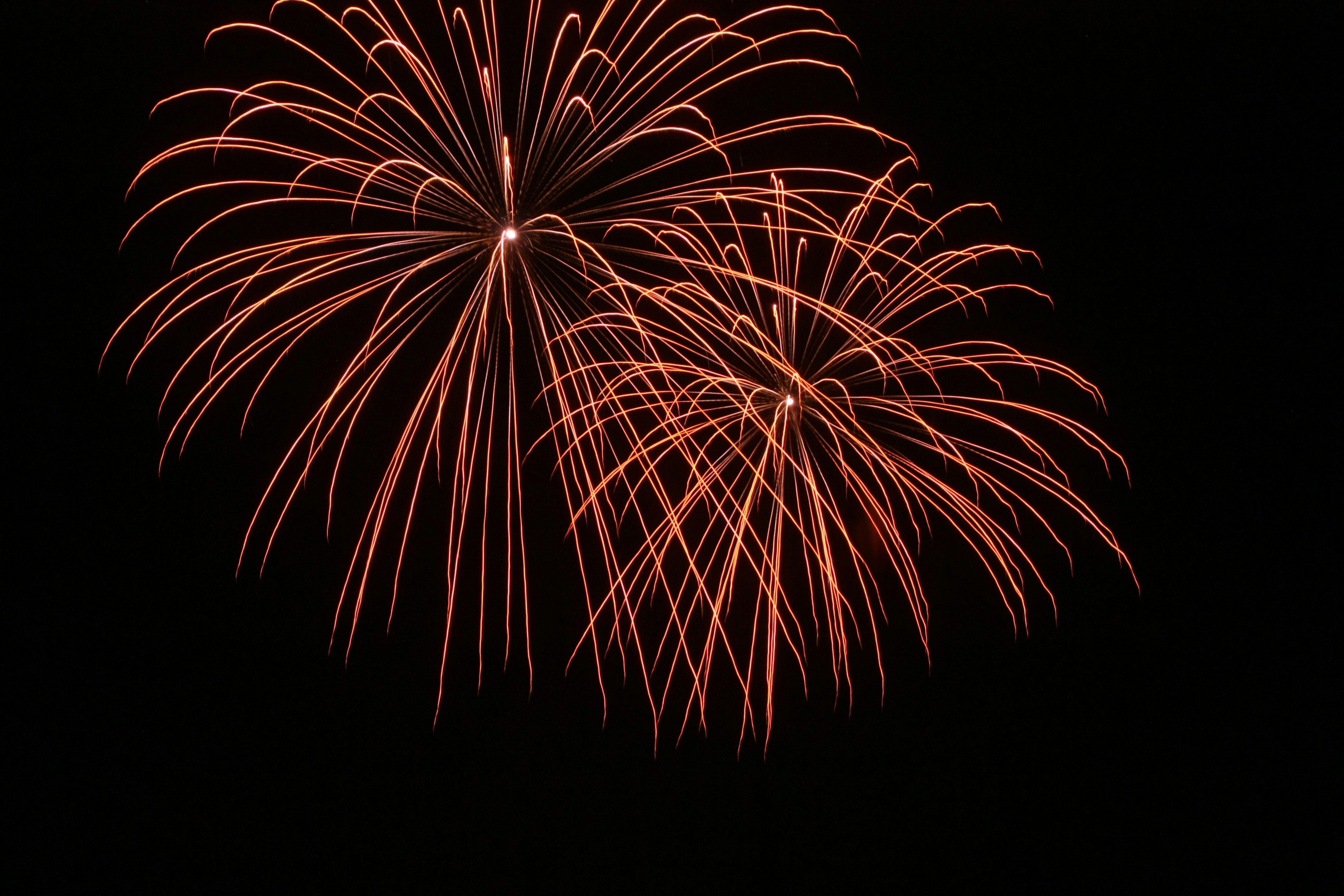 Photo by kiaramartin