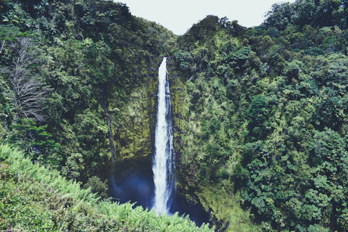 A stunning waterfall framed by lush green jungle in the heart of Latin America.