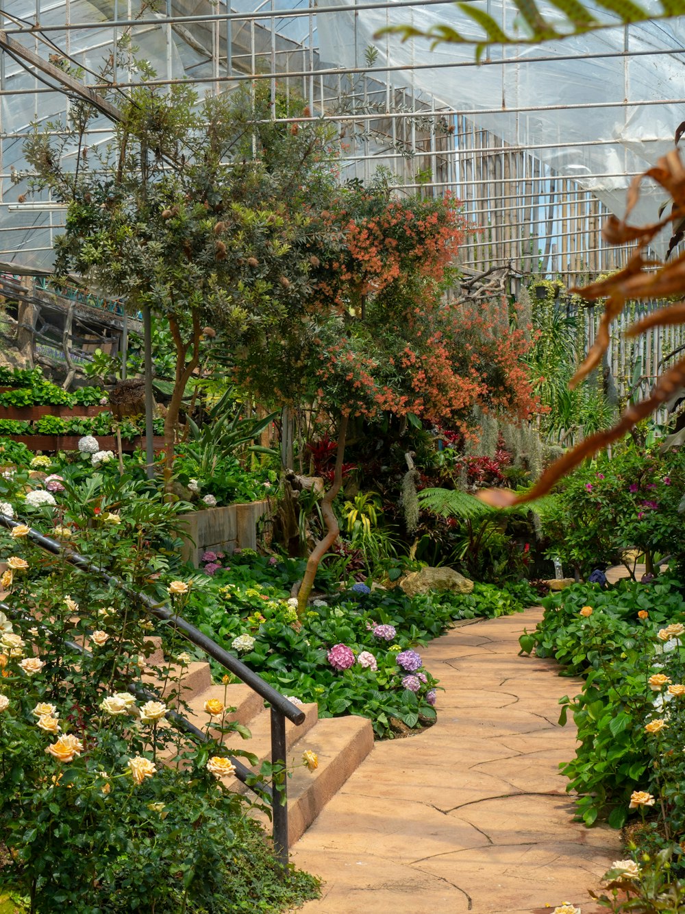 Best 500 Garden Photos Hd Download Free Photos On Unsplash