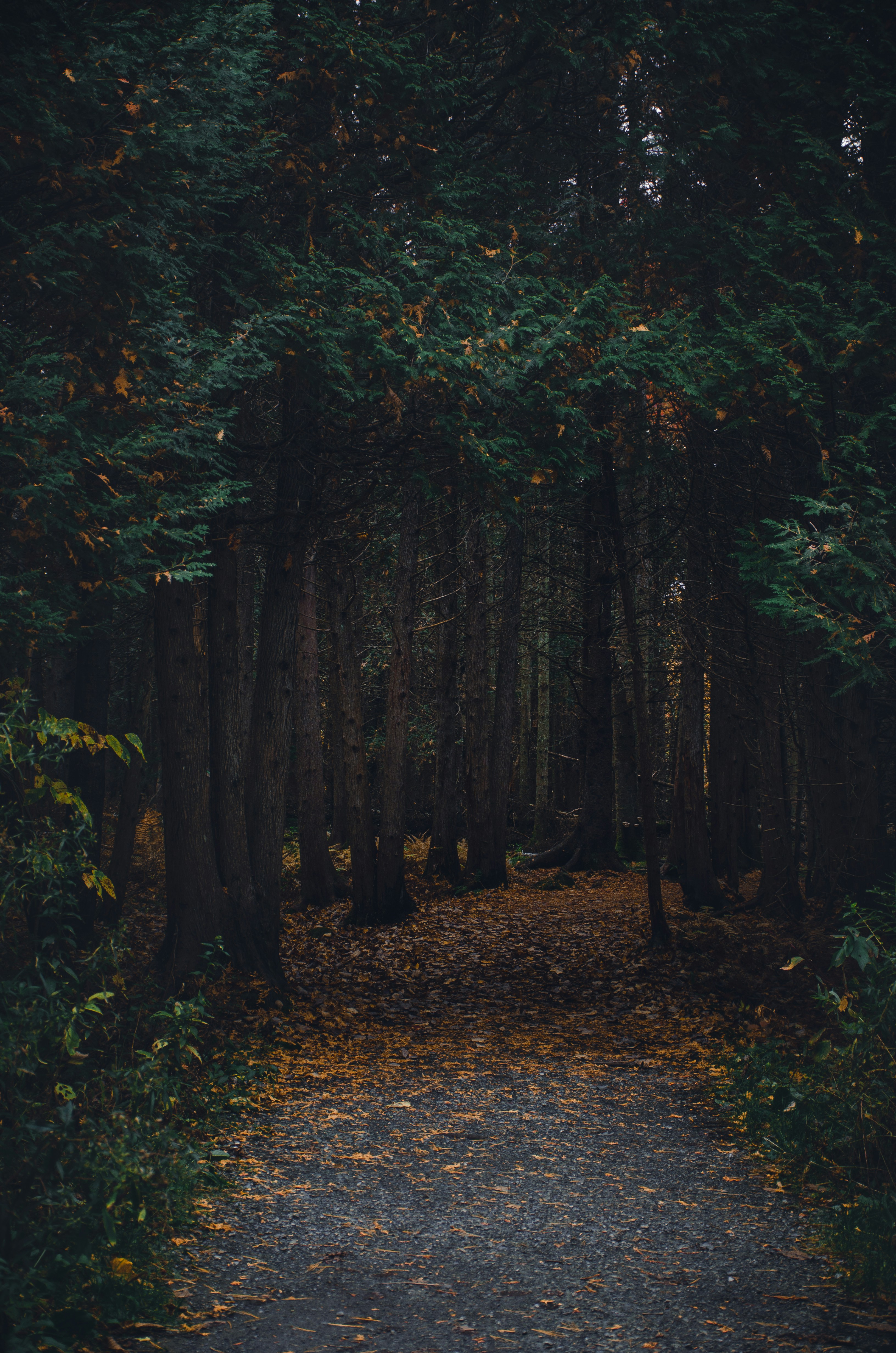 Photo by carolineziem