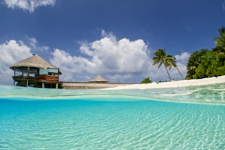 A cozy beachfront bungalow with palm trees swaying under a clear blue sky.