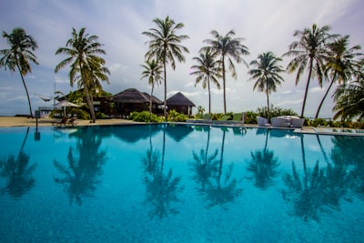 house under coconut tree near pool at daytime maldives zoom background