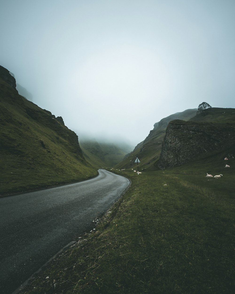 gray asphalt road across foggy mountain