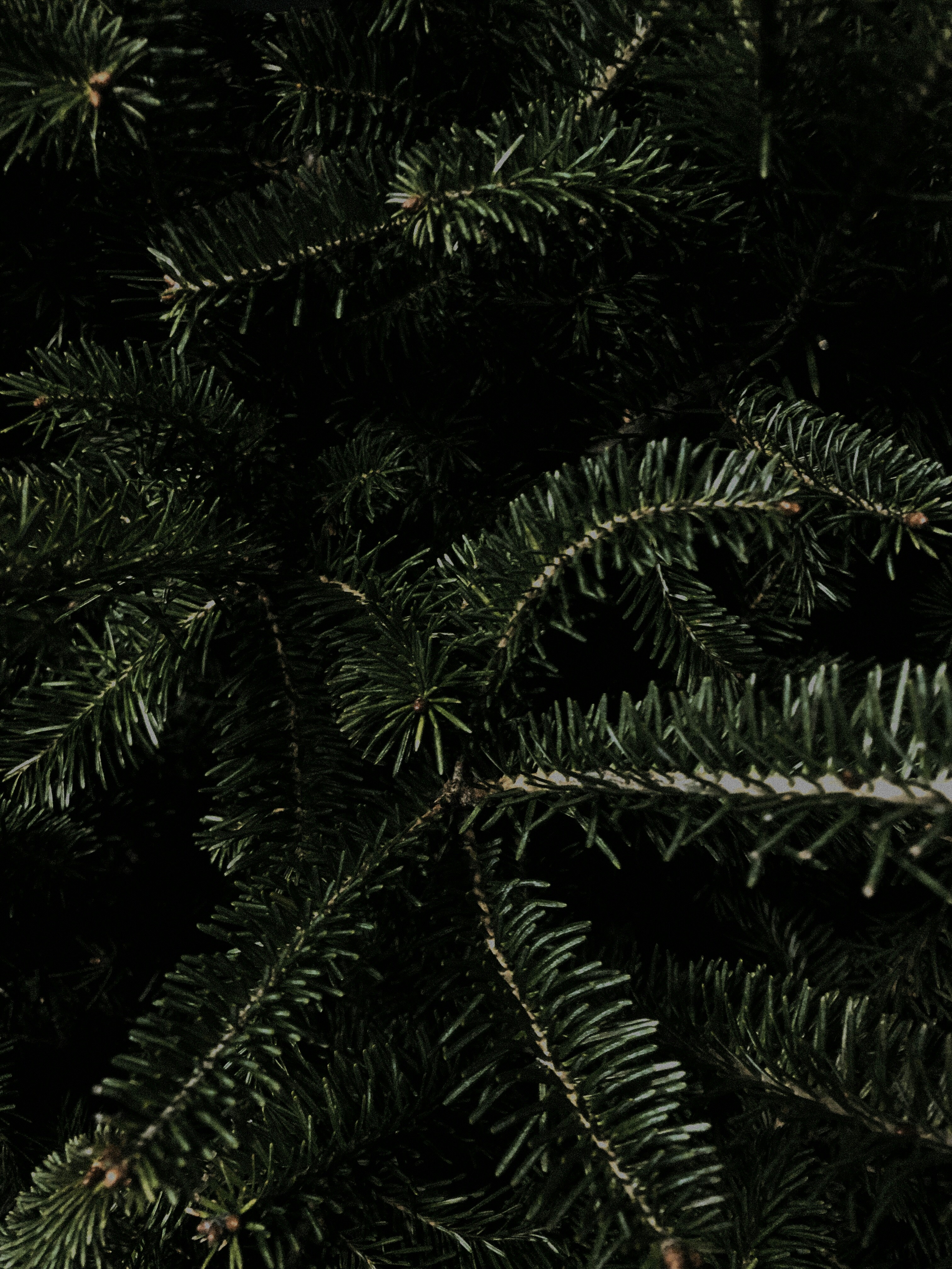 Photo by iam_aspencer