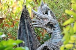 A detailed dragon sculpture is surrounded by lush greenery. The dragon has a fierce expression with its mouth open, showcasing its sharp teeth. Its surface is textured with scales, and its wings are large and dark, arching majestically behind it.