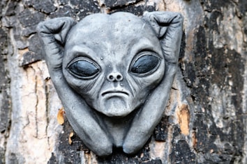A sculpted alien face is embedded in a tree trunk, featuring exaggerated large black eyes and elongated ears. The texture of the bark, along with the carved details of the alien, creates a surreal appearance.