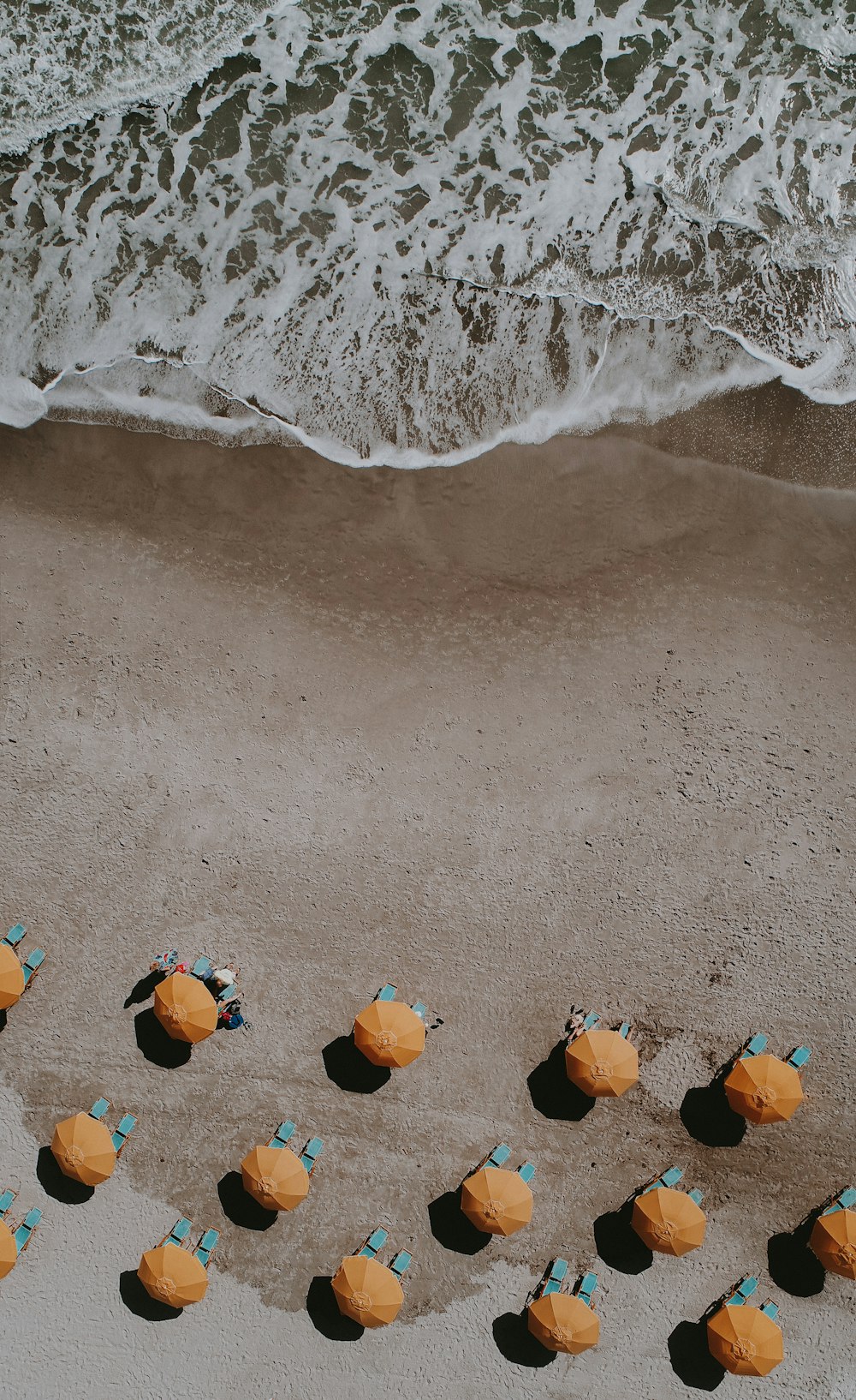 yellow umbrellas on shore