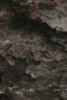 A textured rock surface featuring a pattern of tightly interlocking polygonal shapes. The color palette is primarily composed of dark grays and earthy tones, with small patches of reddish-brown spots visible in the upper section.