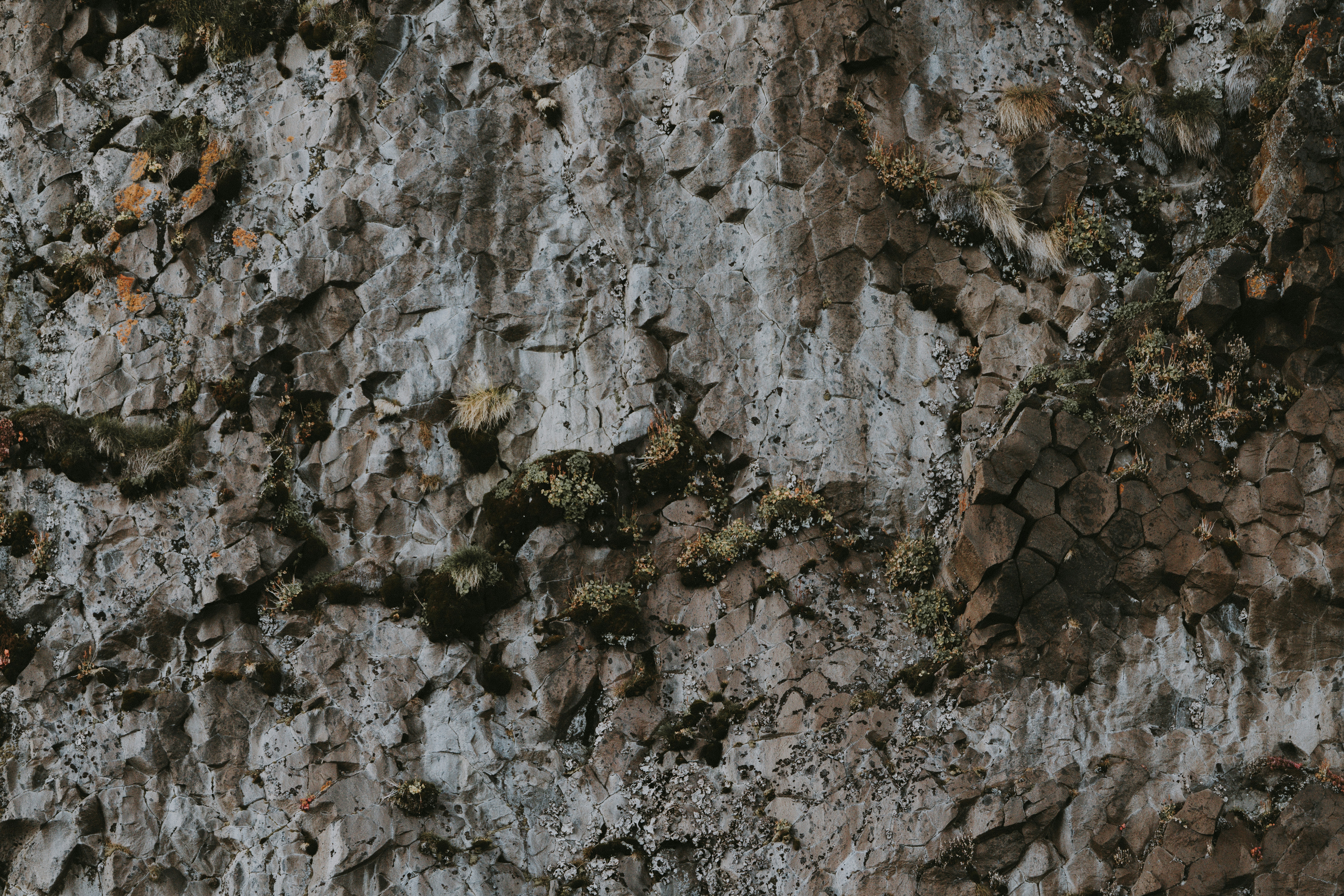 Photo by anniespratt