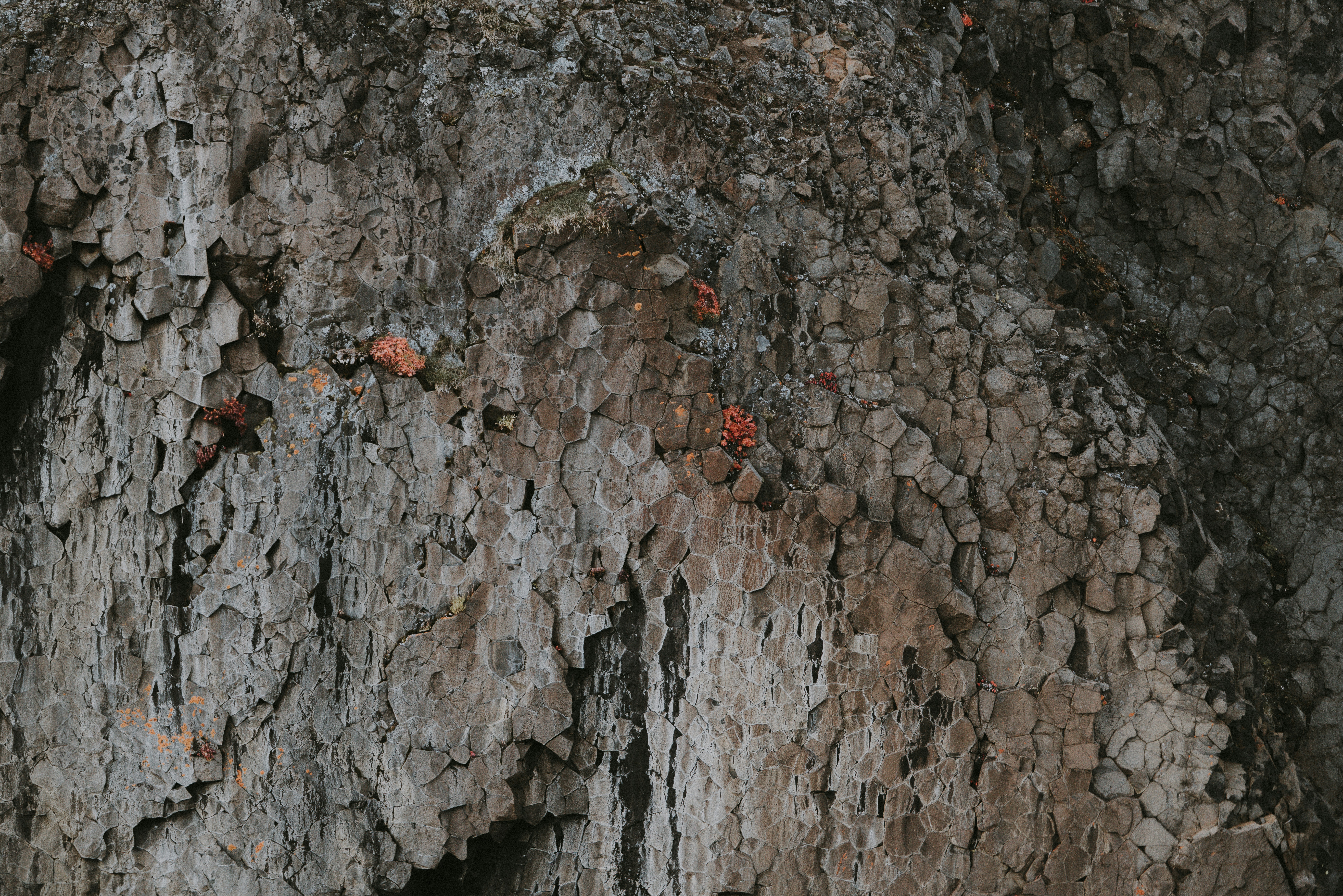 Photo by anniespratt