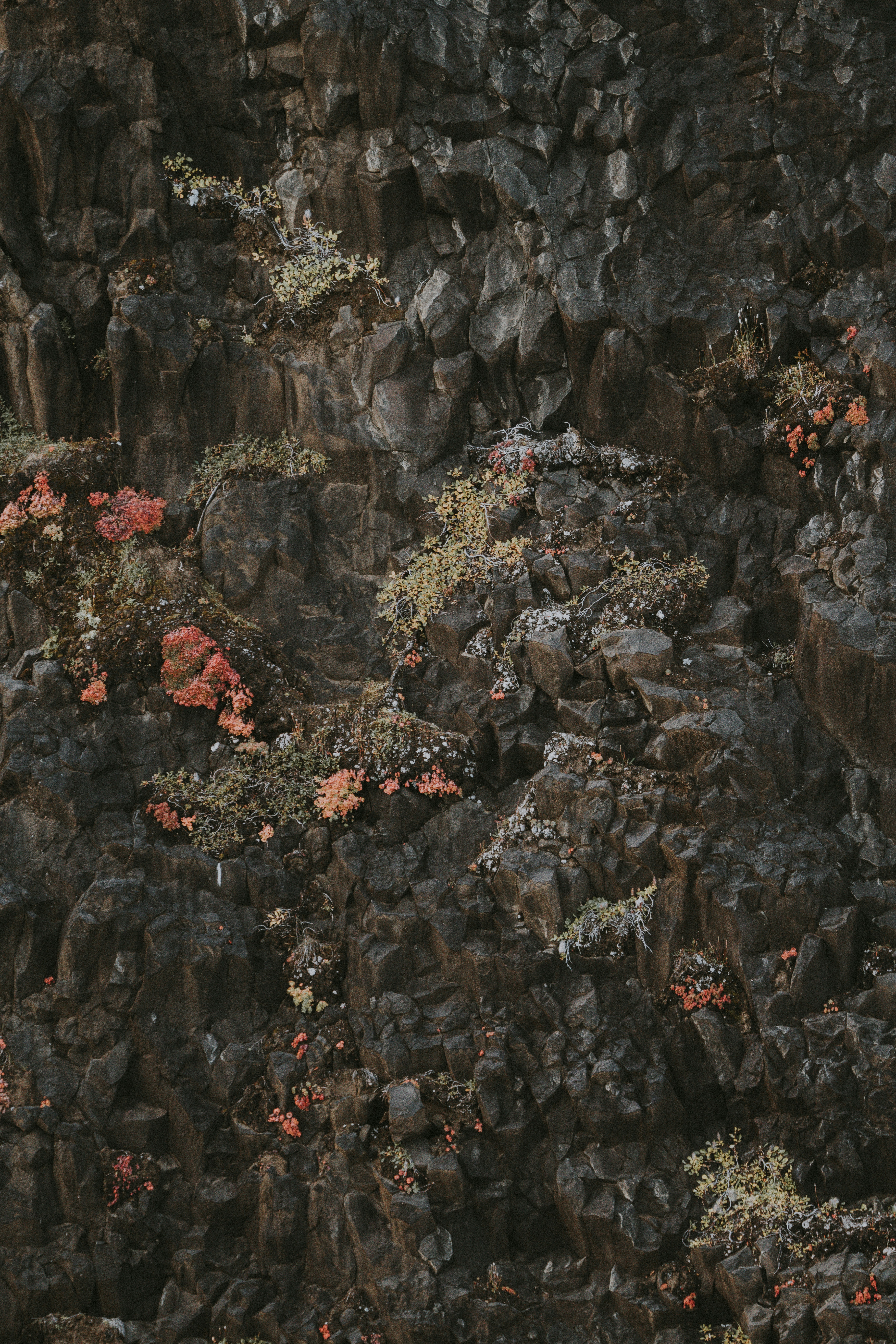 Photo by anniespratt