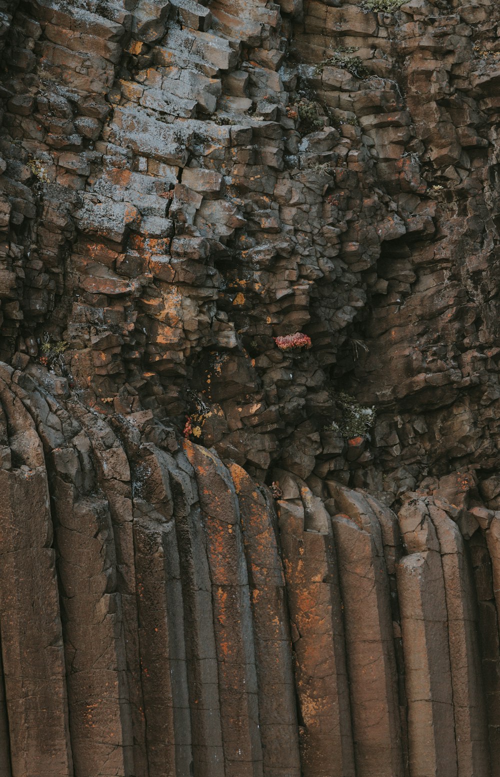 Foto de pared de roca marrón