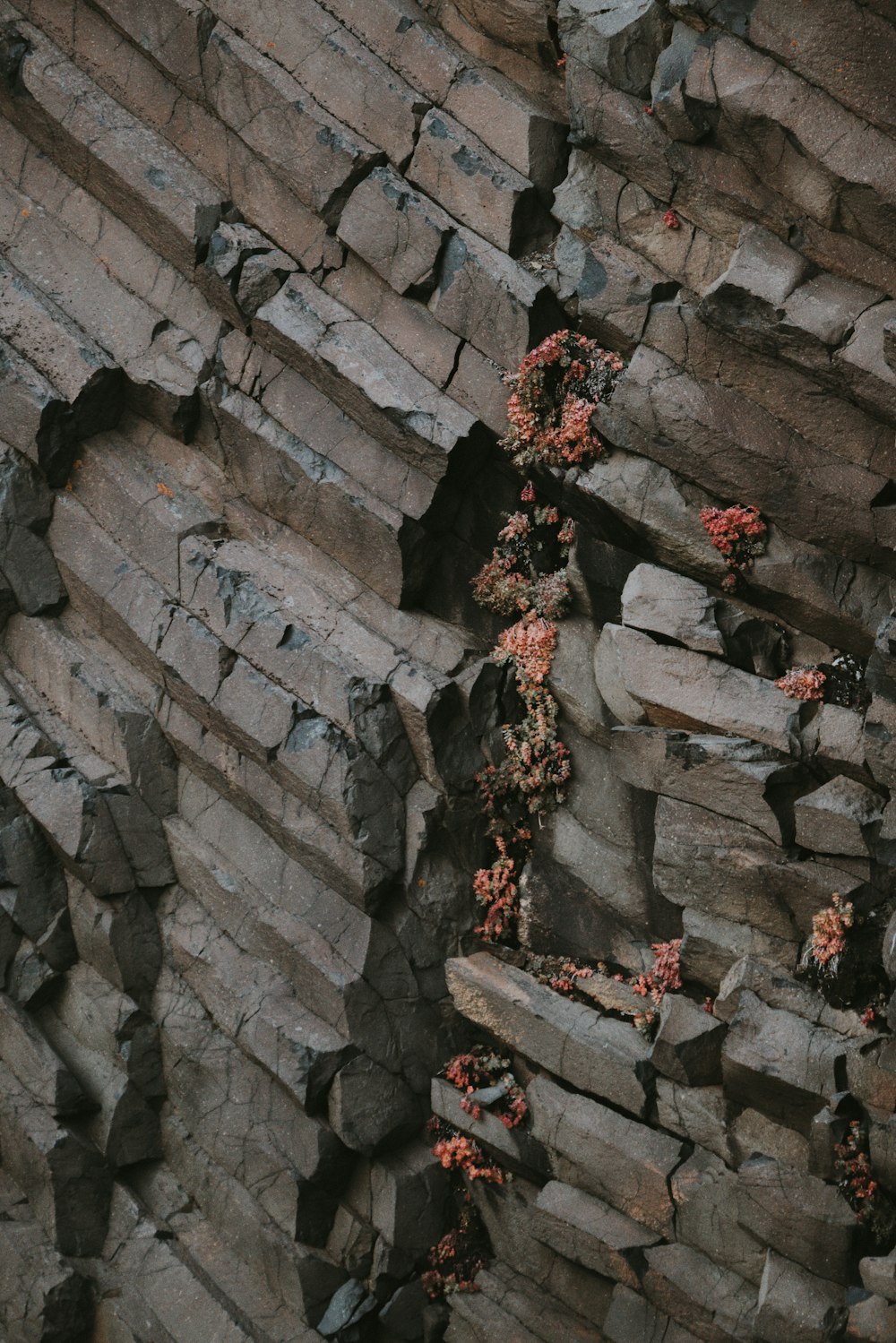 Cueva Marrón