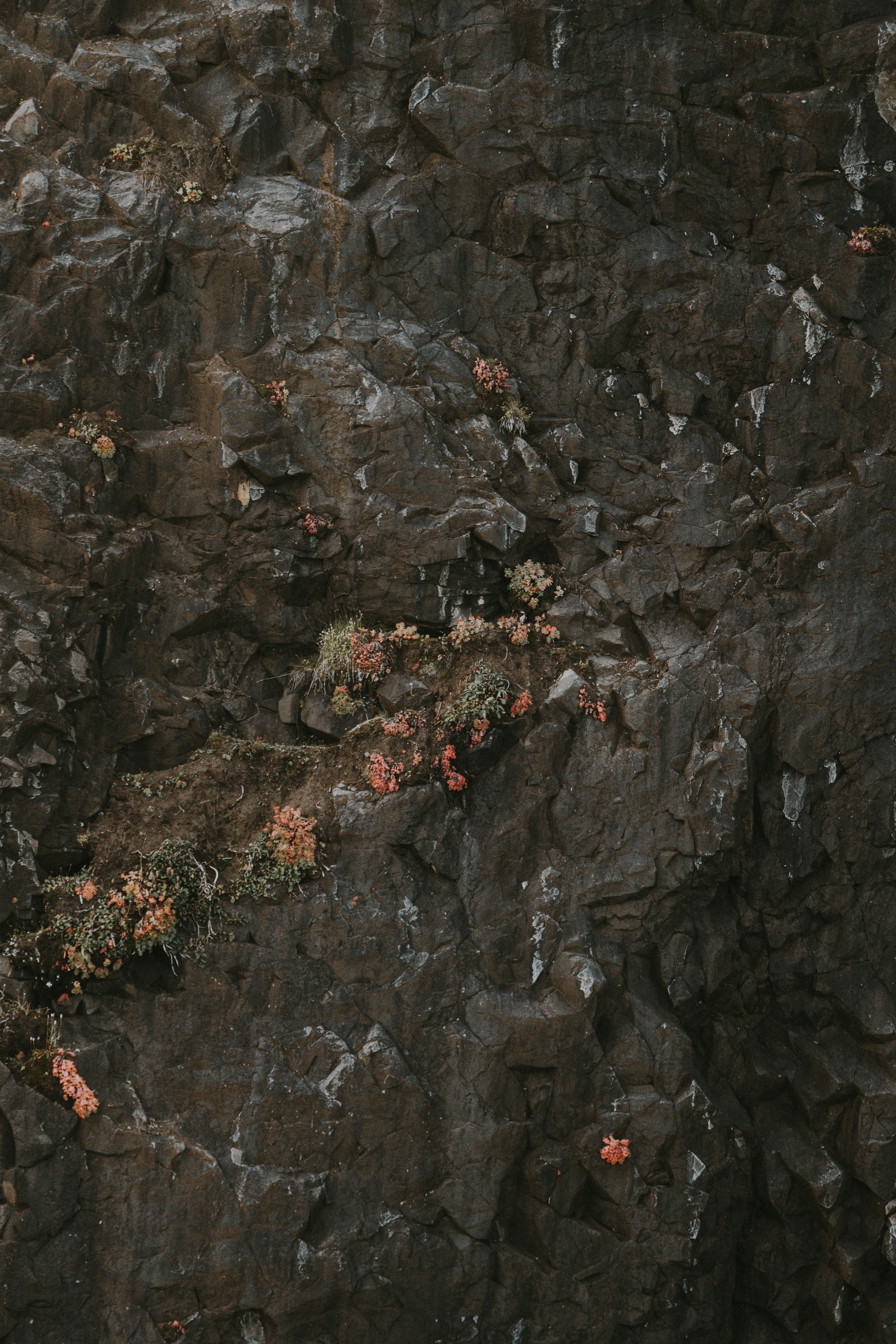 mountain rescue wallpaper, wallpaper, Wilderness Rescue Operations: A Comprehensive Guide 4