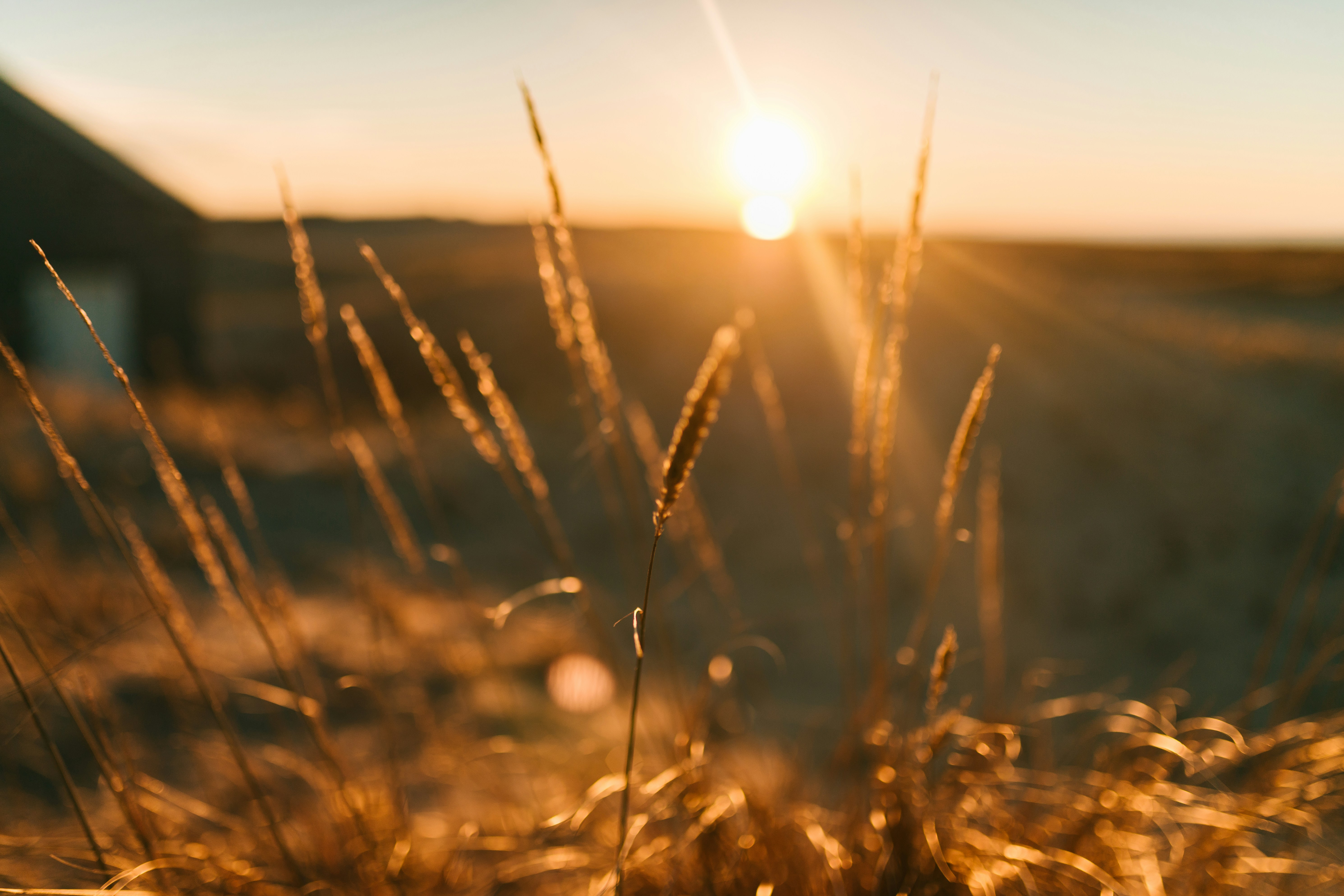 Photo by charlotablunarova