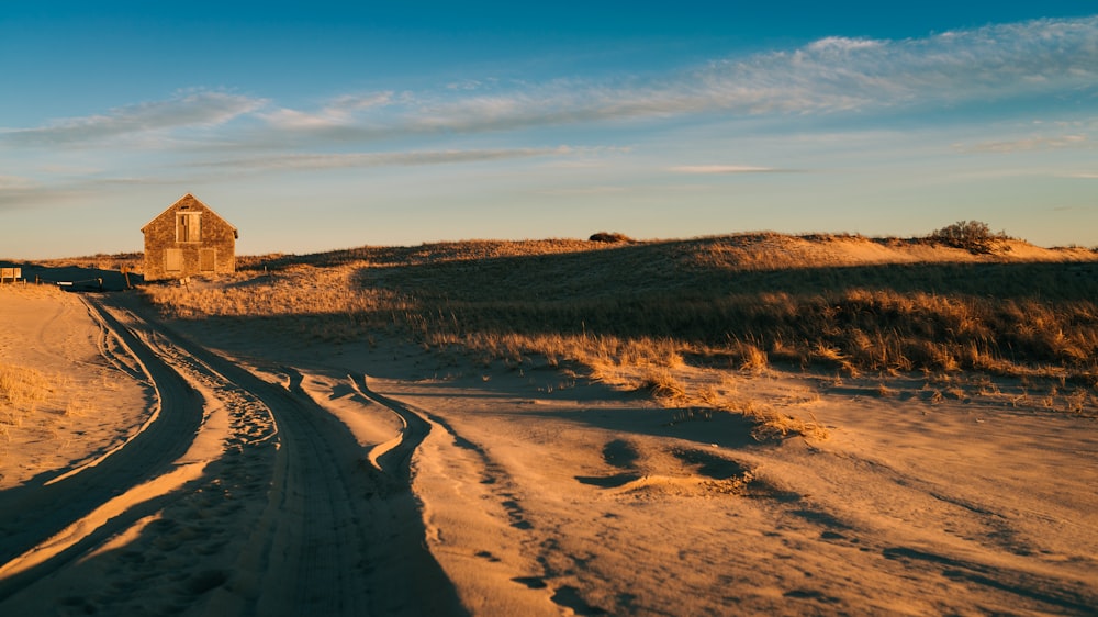 sand dune landscape