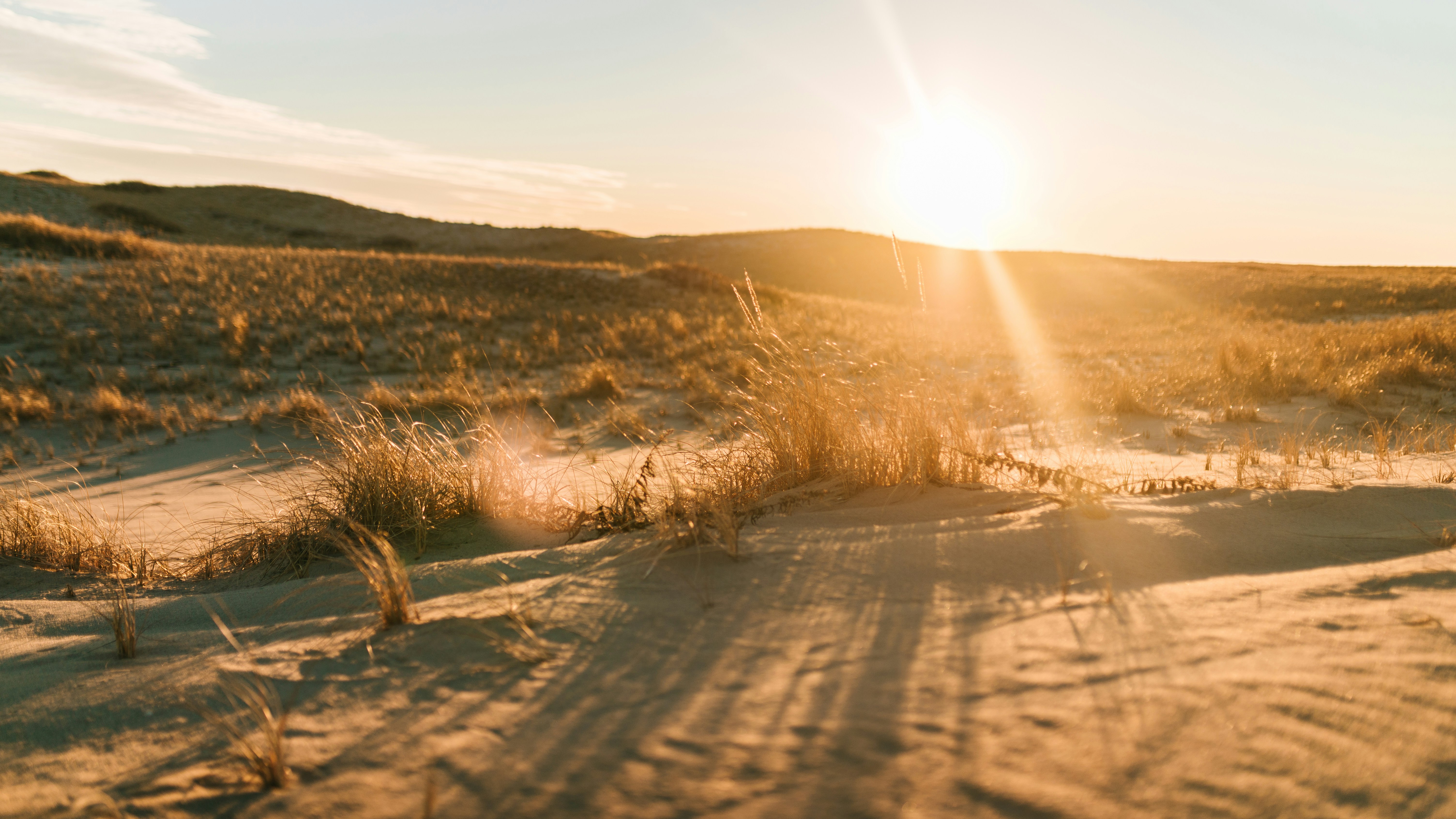 Image credit: Charlota Blunarova via unsplash
 jaisalmer jeep safari, jaisalmer desert safari, weather in jaisalmer, best time to visit jaisalmer