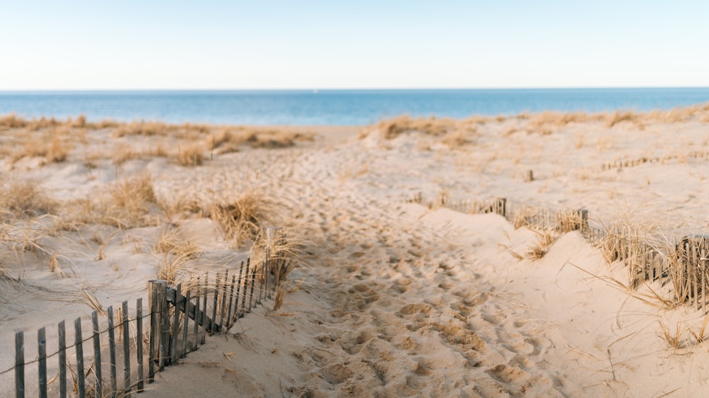 foot steps on sand near seashore at daytime