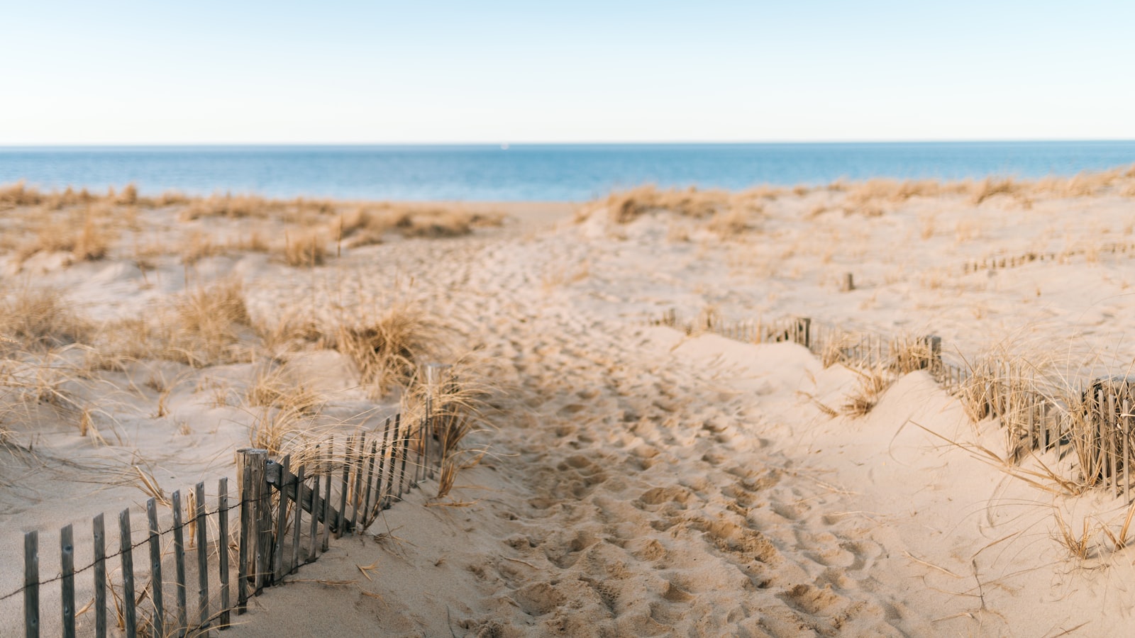 Nikon D600 + Sigma 35mm F1.4 DG HSM Art sample photo. Foot steps on sand photography