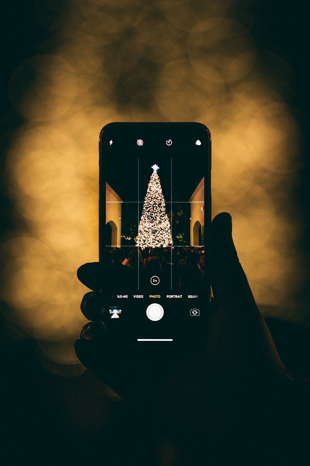 person taking photo of Christmas tree